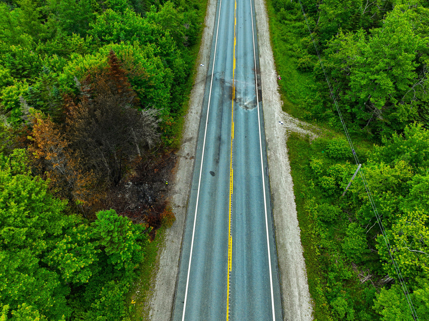 Aerial view of a road through a dense forest, a burnt forest section can be seen on the left.